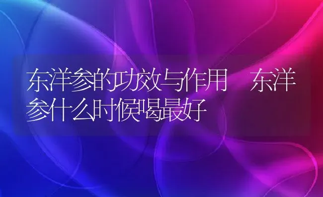东洋参的功效与作用 东洋参什么时候喝最好 | 养殖资料投稿