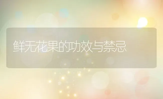 鲜无花果的功效与禁忌 | 养殖资料投稿