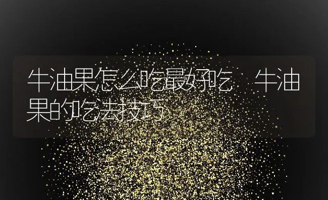 牛油果怎么吃最好吃 牛油果的吃法技巧 | 养殖资料投稿