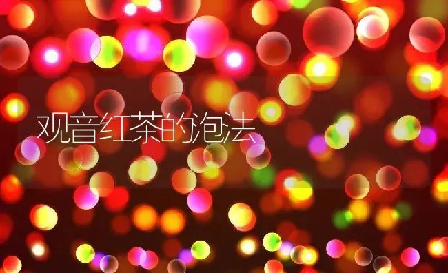观音红茶的泡法 | 养殖资料投稿