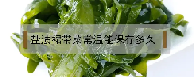 盐渍裙带菜常温能保存多久