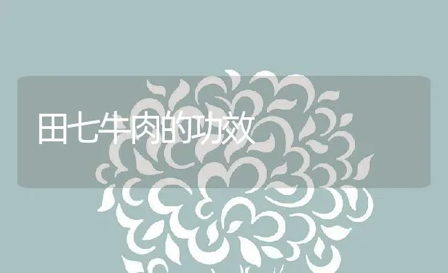 田七牛肉的功效 | 养殖资料投稿