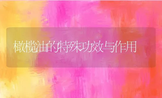 橄榄油的特殊功效与作用 | 养殖资料投稿