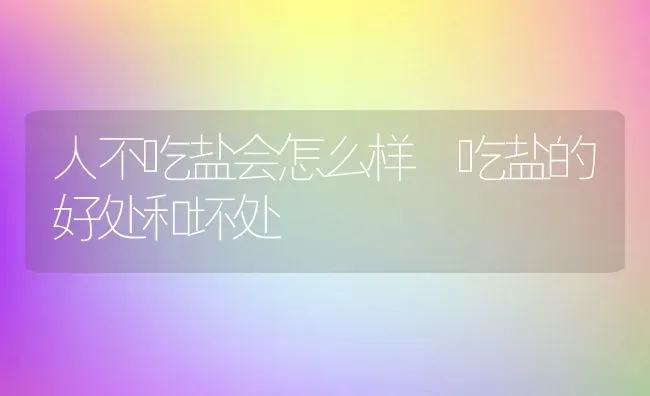 人不吃盐会怎么样 吃盐的好处和坏处 | 养殖资料投稿