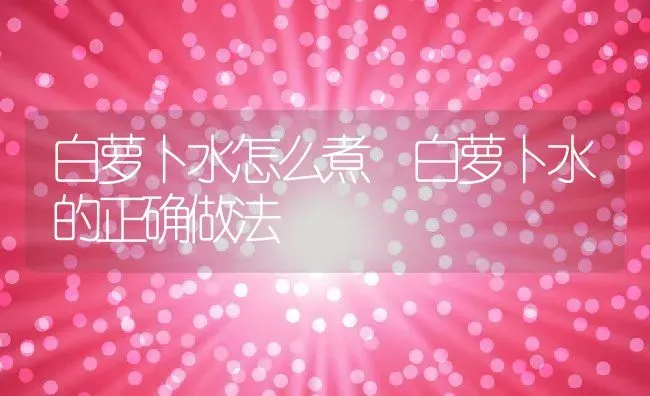 白萝卜水怎么煮 白萝卜水的正确做法 | 养殖资料投稿