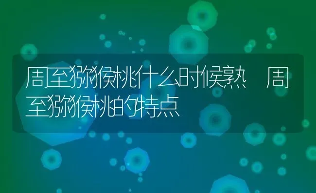 周至猕猴桃什么时候熟 周至猕猴桃的特点 | 养殖资料投稿