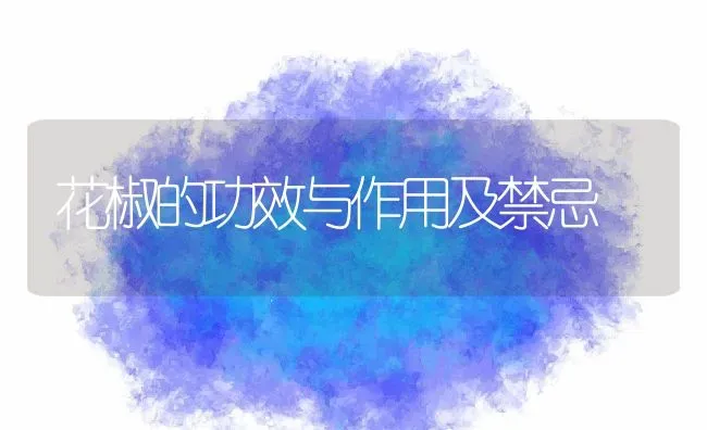 花椒的功效与作用及禁忌 | 养殖资料投稿