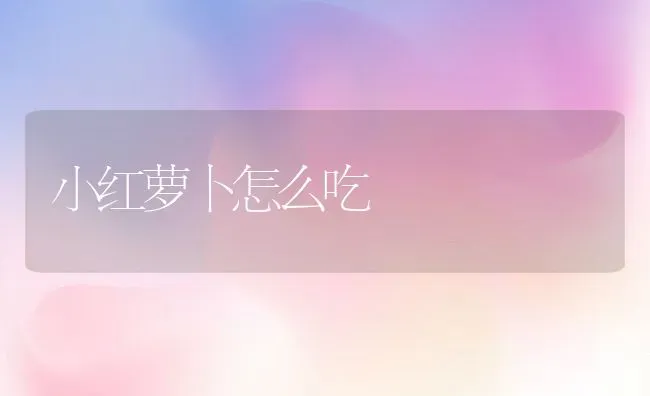 小红萝卜怎么吃 | 养殖资料投稿