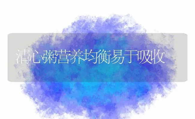 清心粥营养均衡易于吸收 | 养殖资讯