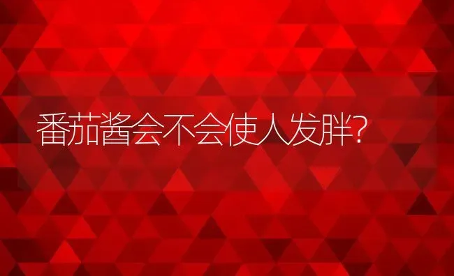 番茄酱会不会使人发胖？ | 养殖资料投稿