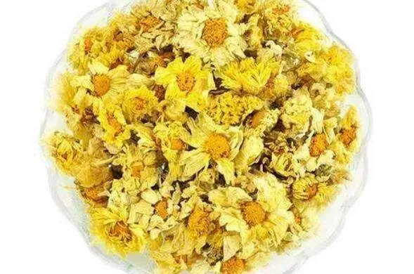 毫菊的功效与作用 毫菊的副作用