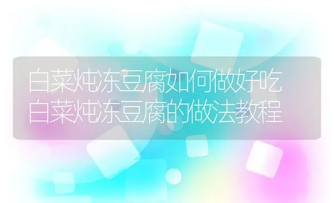 白菜炖冻豆腐如何做好吃 白菜炖冻豆腐的做法教程 | 养殖资料投稿