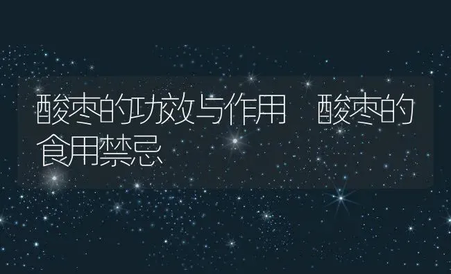 酸枣的功效与作用 酸枣的食用禁忌 | 养殖资料投稿