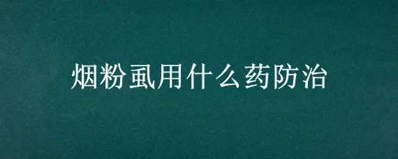 烟粉虱用什么药防治