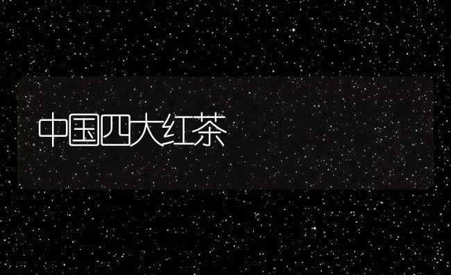 中国四大红茶 | 养殖资料投稿