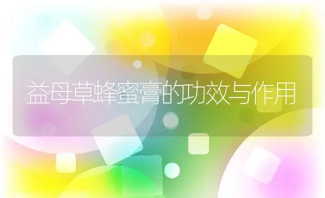益母草蜂蜜膏的功效与作用 | 养殖资料投稿