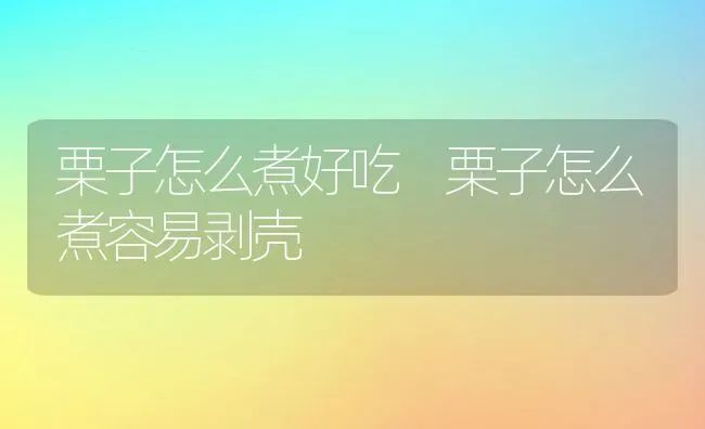 栗子怎么煮好吃 栗子怎么煮容易剥壳 | 养殖资料投稿