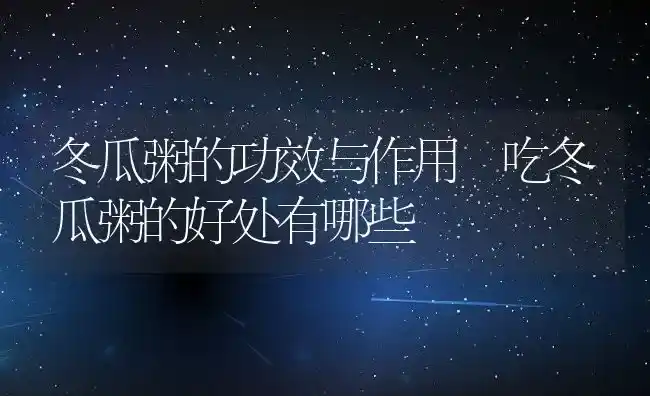 冬瓜粥的功效与作用 吃冬瓜粥的好处有哪些 | 养殖资讯