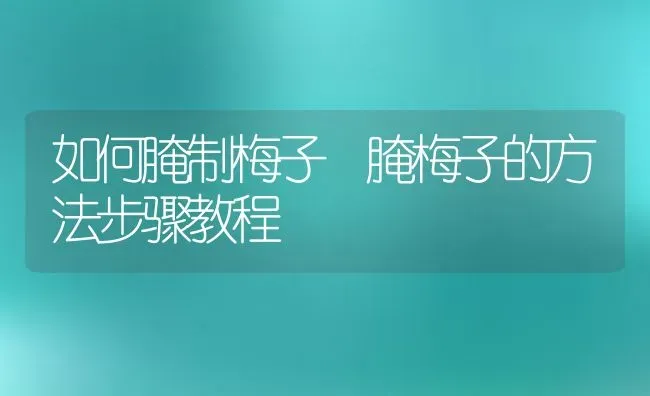 如何腌制梅子 腌梅子的方法步骤教程 | 养殖资料投稿