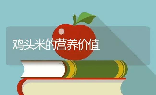 鸡头米的营养价值 | 养殖资料投稿