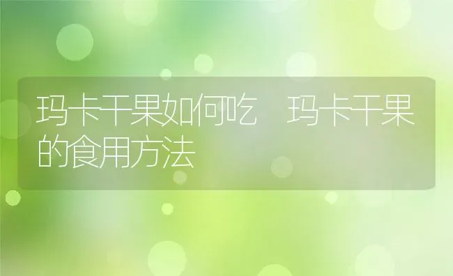 玛卡干果如何吃 玛卡干果的食用方法 | 养殖资料投稿