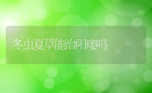 冬虫夏草能治阳痿吗 | 养殖资料投稿