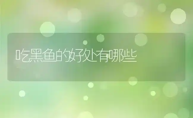 吃黑鱼的好处有哪些 | 养殖资料投稿