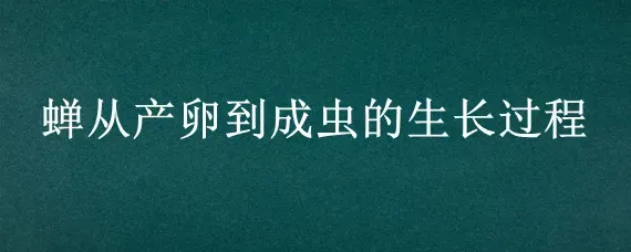 蝉从产卵到成虫的生长过程