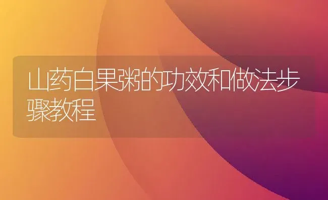 山药白果粥的功效和做法步骤教程 | 养殖资讯