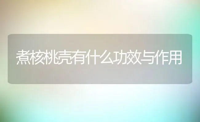 煮核桃壳有什么功效与作用 | 养殖资料投稿