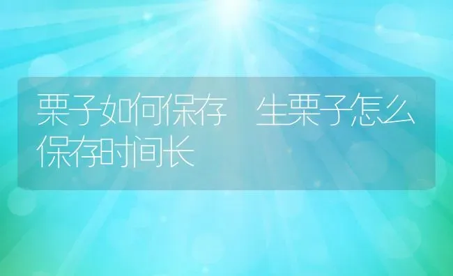 栗子如何保存 生栗子怎么保存时间长 | 养殖资料投稿