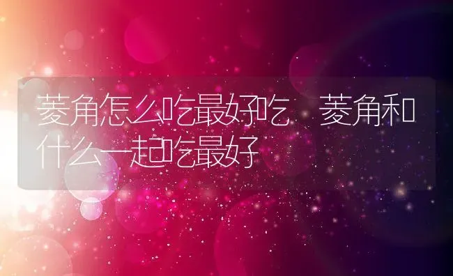 菱角怎么吃最好吃 菱角和什么一起吃最好 | 养殖资料投稿