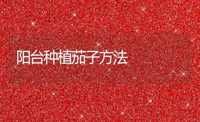 阳台种植茄子方法 | 养殖资料投稿