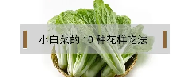 小白菜的10种花样吃法