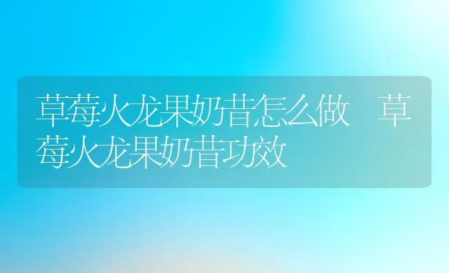 草莓火龙果奶昔怎么做 草莓火龙果奶昔功效 | 养殖资料投稿