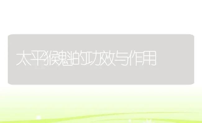 太平猴魁的功效与作用 | 养殖资料投稿