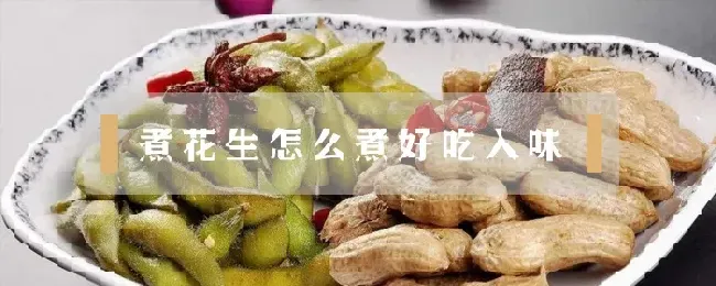 煮花生怎么煮好吃入味