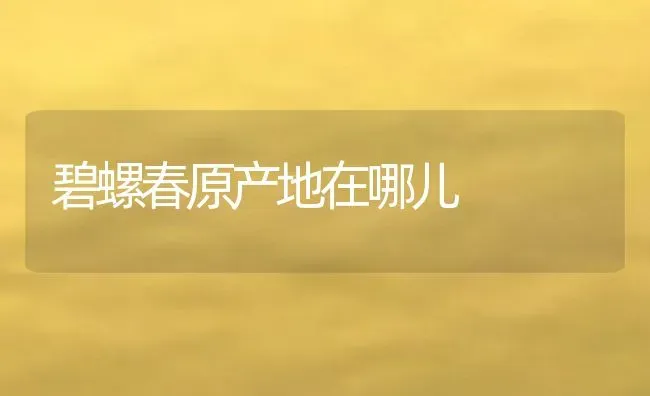碧螺春原产地在哪儿 | 养殖资料投稿