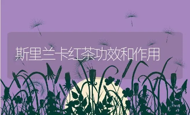 斯里兰卡红茶功效和作用 | 养殖资料投稿