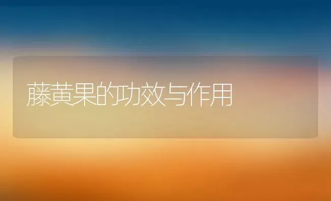 南瓜不能和什么一起吃 南瓜的食用禁忌 | 养殖资料投稿