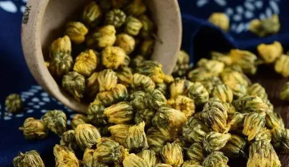 毫菊的功效与作用 毫菊的副作用