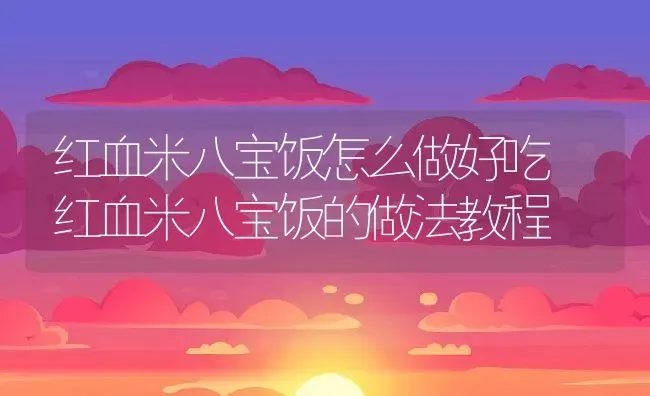 红血米八宝饭怎么做好吃 红血米八宝饭的做法教程 | 养殖资讯