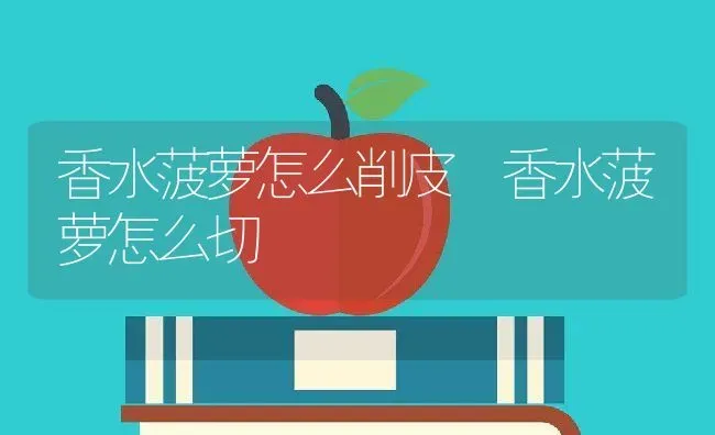 香水菠萝怎么削皮 香水菠萝怎么切 | 养殖资料投稿