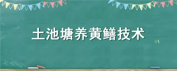 土池塘养黄鳝技术