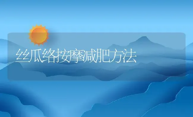 丝瓜络按摩减肥方法 | 养殖资料投稿