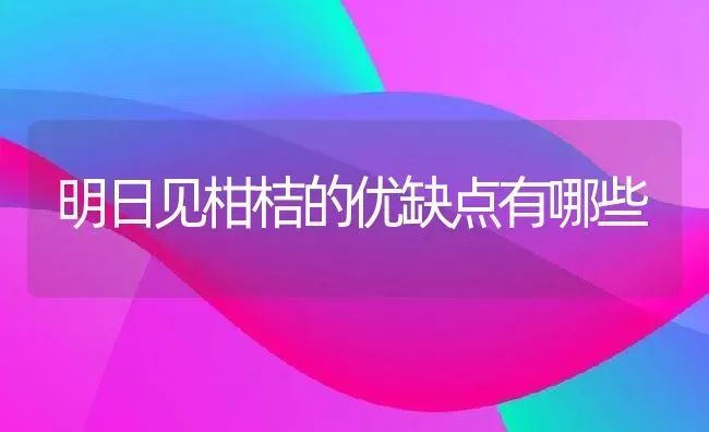 明日见柑桔的优缺点有哪些 | 养殖资讯