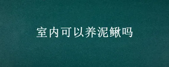 室内可以养泥鳅吗