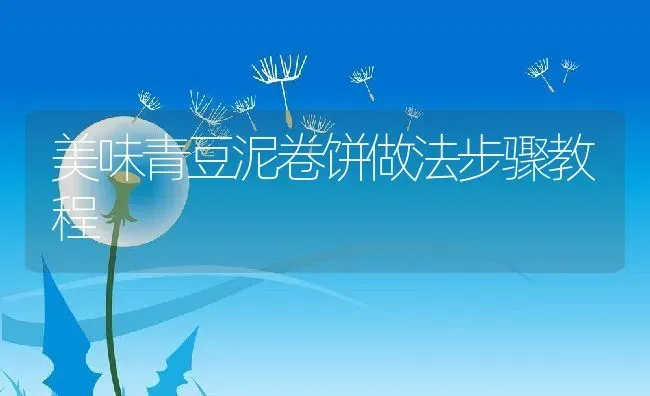 美味青豆泥卷饼做法步骤教程 | 养殖资料投稿