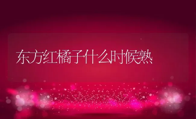 东方红橘子什么时候熟 | 养殖资讯