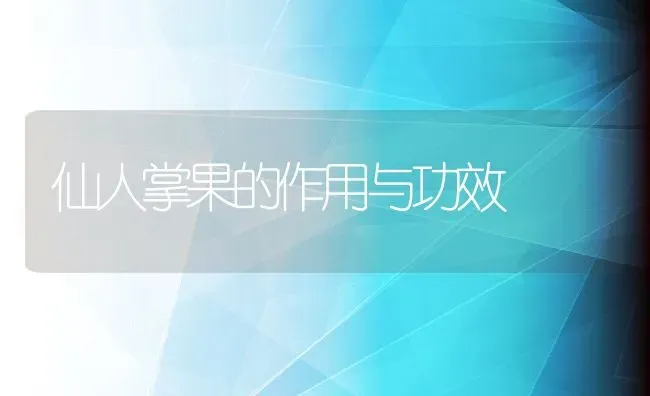 仙人掌果的作用与功效 | 养殖资料投稿